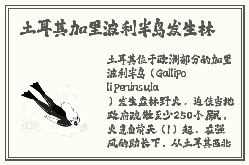 姐妹们试过最大的多大